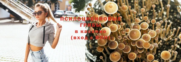 не бодяженный Покров
